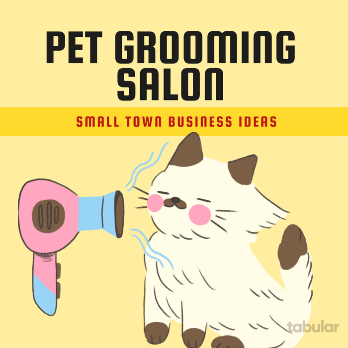 small town business ideas: pet grooming salon.